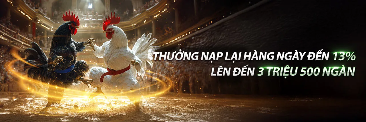 Đá Gà Thomo Gà Ấn Độ